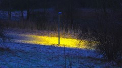Night light lanterns forests