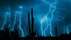 Night Lightning cactus deserts