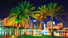 Night lights palm trees buildings skyline
