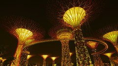 Night lights Singapore cities sculptures citynight