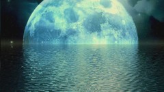 Night moon reflections