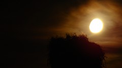 Night moon skyscapes