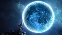Night moon Wolves Blue Moon