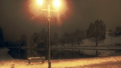 Night Parks walk snow landscapes