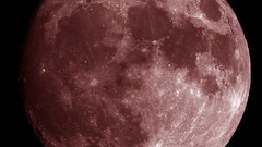 Night red moon skies