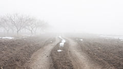 Night road fate high stock dee