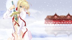 Night saber series Anime