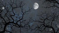 Night science fiction outer space