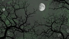 Night science fiction outer space