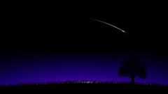 Night shooting star