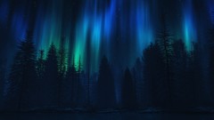 Night sky aurora borealis