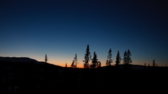 Night sky Avenger dqoe