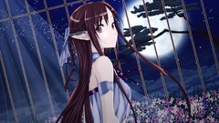 Night Stars moon Anime prison elves cage anime girls brunettes 