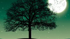 Night Stars moon skyscapes