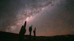 Night Stars outdoors