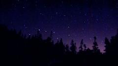 Night Stars silhouettes