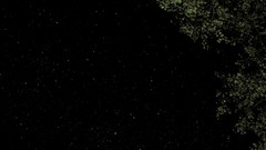 Night Stars skyscapes