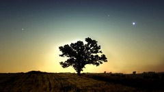 Night Stars skyscapes sunset