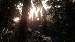 Night Stars the elder scrolls v skyrim outer space