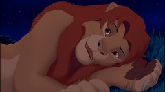 Night Stars The Lion King Lions Simba Disney Company