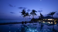 Night water Stars lights palm trees Beaches
