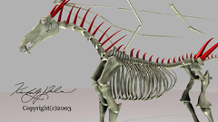 Nightmare Bones Horses artwork