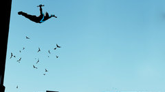 Nightwing Birds comics City