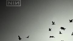Nine inch nails