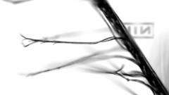 Nine inch nails album