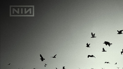 Nine inch nails Music