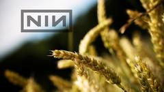 Nine inch nails Music