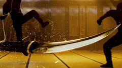 Ninja Assassin have any anyone does 1024