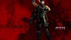 Ninja gaiden seek vengeance