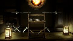 Ninja gaiden warrior assasin