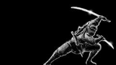 Ninjas