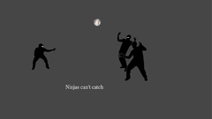 Ninjas balls ninjas cant