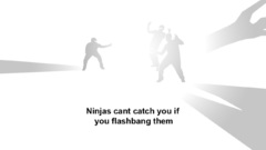 Ninjas cant catch you