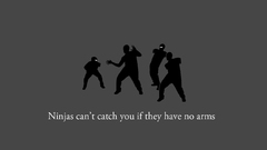 Ninjas cant catch you