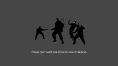 Ninjas cant catch you