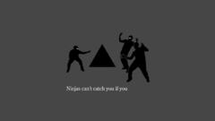 Ninjas cant catch you