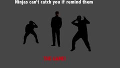 Ninjas cant catch you