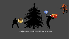 Ninjas cant catch you