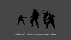 Ninjas cant catch you