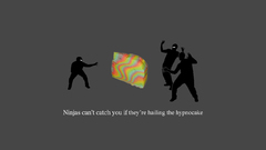 Ninjas cant catch you