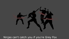 Ninjas cant catch you