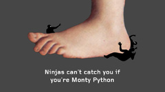 Ninjas cant catch you