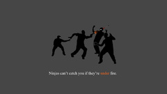 Ninjas cant catch you