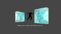Ninjas cant catch you