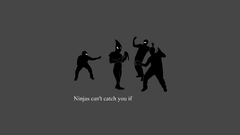 Ninjas cant catch you