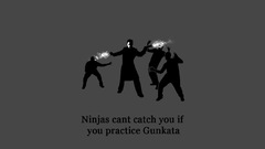 Ninjas cant catch you